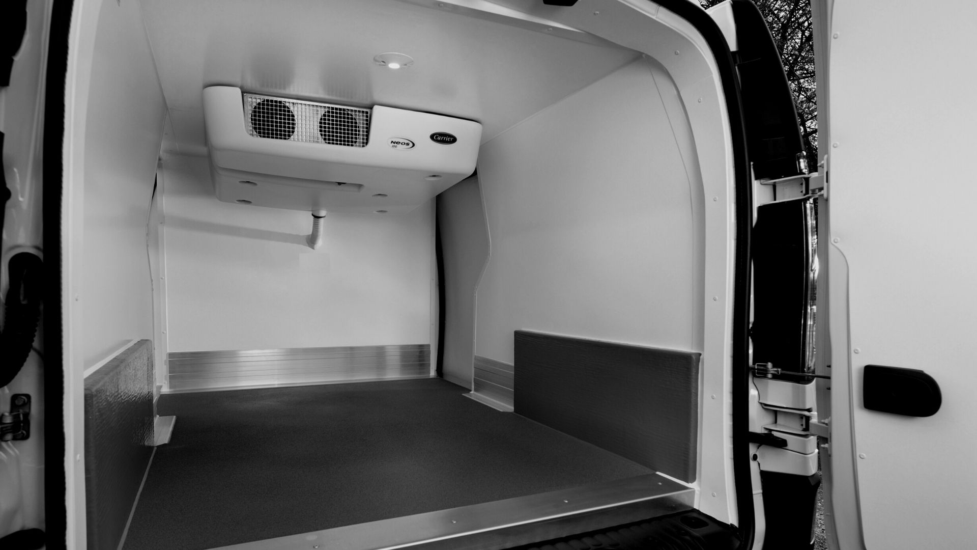 furgoni e camion frigo milanesi diesel